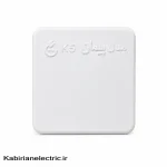 دو شاخه پیمان