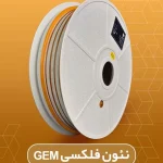 نئون انبه جم