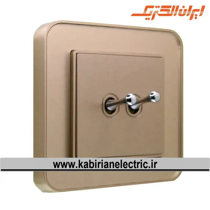 KB-000389 کلید دو پل اهرمی ارس بژ زه بژ ایران الکتریک - تصویر 1