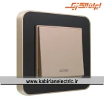 کلید تک پل ارس بژ زه مشکی میانی بژ ایران الکتریک