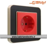پریز برق UPS ارس بژ زه مشکی میانی بژ ایران الکتریک