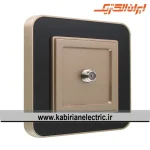 پریز آنتن SAT ارس بژ زه مشکی میانی بژ ایران الکتریک