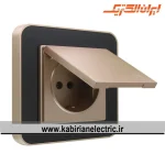 پریز برق ارت دربدار ارس بژ زه مشکی میانی بژ ایران الکتریک