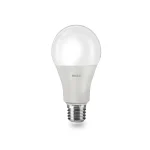 لامپ حبابی 20W سفید EDC