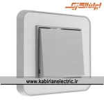 کلید تبدیل ارس نقره ای زه سفید میان نقره ای ایران الکتریک