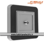 پریز آنتن SAT ارس نقره ای زه مشکی میان نقره ای ایران الکتریک