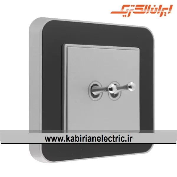 KB-000758 کلید دو پل اهرمی ارس نقره ای زه مشکی میان نقره ای ایران الکتریک - تصویر 1