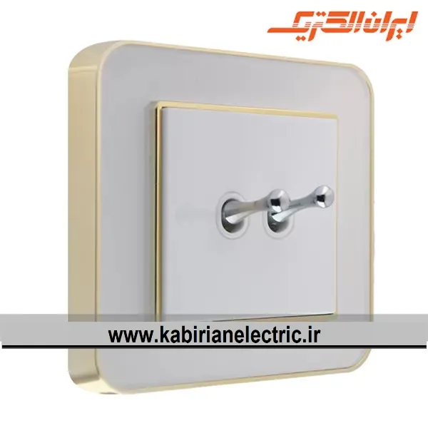 KB-000926 کلید دو پل اهرمی ارس متال طلایی زه سفید میان سفید ایران الکتریک - تصویر 1