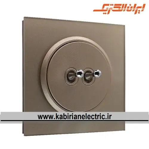 KB-001256 کلید دو پل اهرمی اسپادانا بژ زه بژ ایران الکتریک - تصویر 1