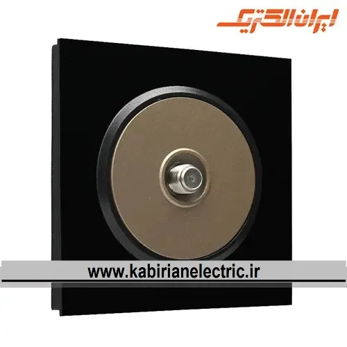 KB-001330 پریز آنتن SAT اسپادانا مشکی میان بژ ایران الکتریک - تصویر 1