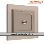 پریز آنتن SAT برلیان پلکسی بژ ایران الکتریک