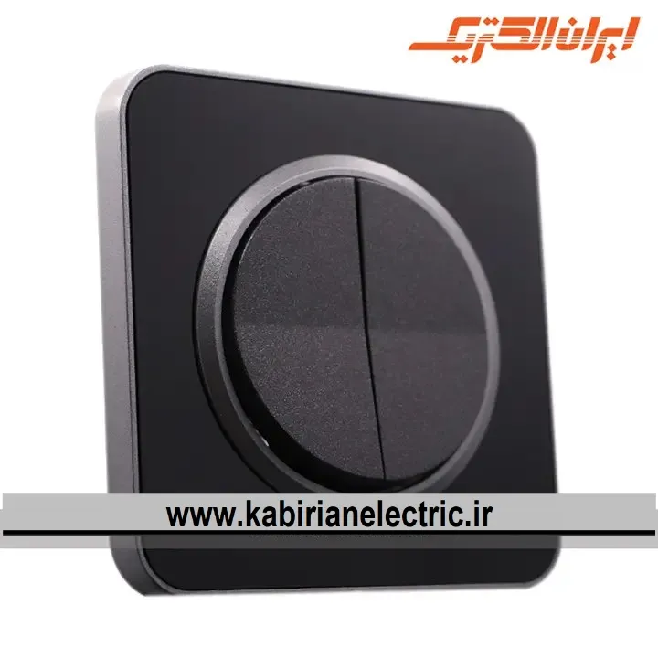 KB-001625 کلید دو پل اسپیناس زغالی زه مشکی ایران الکتریک - تصویر 1