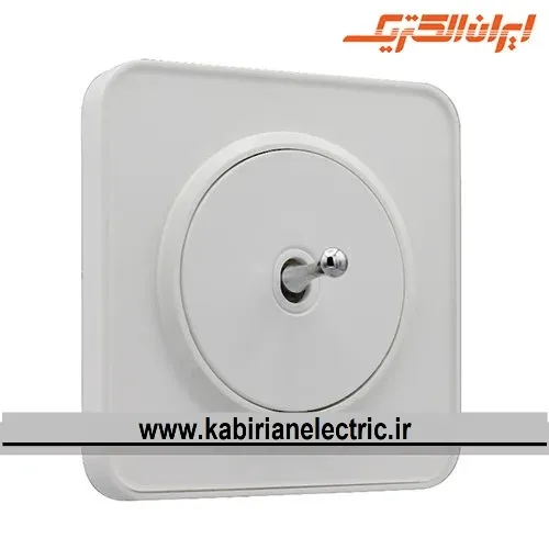 KB-001660 کلید تک پل اهرمی اسپیناس سفید زه سفید ایران الکتریک - تصویر 1