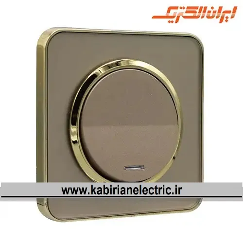 KB-001734 کلید تک پل اسپیناس طلایی زه بژ میان بژ ایران الکتریک - تصویر 1