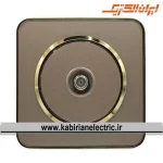 پریز آنتن SAT اسپیناس طلایی زه بژ میان بژ ایران الکتریک - تصویر 2