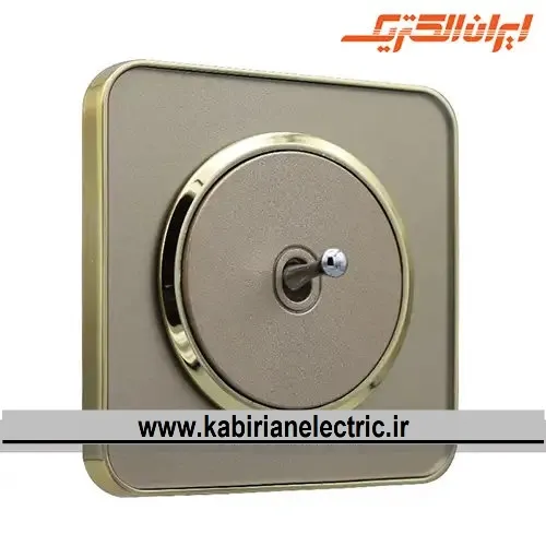 KB-001744 کلید تک پل اهرمی اسپیناس طلایی زه بژ میان بژ ایران الکتریک - تصویر 1
