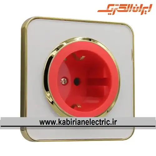 KB-001769 پریز برق UPS اسپیناس طلایی زه سفید میان سفید ایران الکتریک - تصویر 1