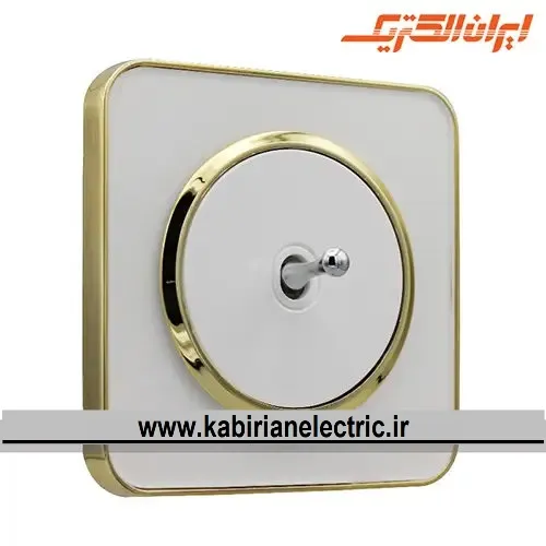 KB-001773 شاسی زنگ اهرمی اسپیناس طلایی زه سفید میان سفید ایران الکتریک - تصویر 1