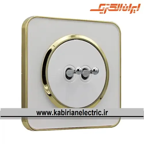 KB-001779 کلید دو پل اهرمی اسپیناس طلایی زه سفید میان سفید ایران الکتریک - تصویر 1