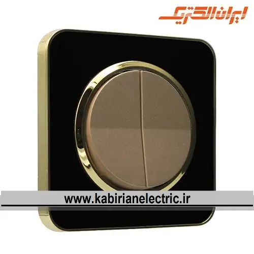 KB-001793 کلید دو پل اسپیناس طلایی زه مشکی میان بژ ایران الکتریک - تصویر 1