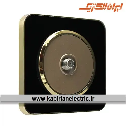 KB-001799 پریز آنتن SAT اسپیناس طلایی زه مشکی میان بژ ایران الکتریک - تصویر 1