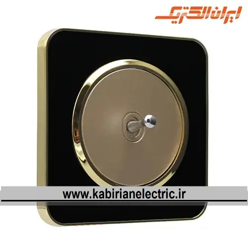 KB-001800 کلید تک پل اهرمی اسپیناس طلایی زه مشکی میان بژ ایران الکتریک - تصویر 1