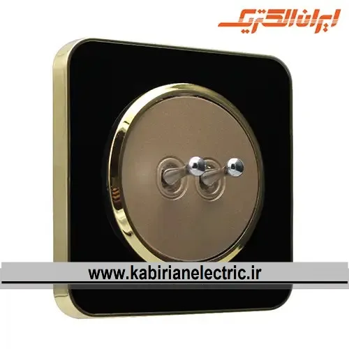 KB-001807 کلید دو پل اهرمی اسپیناس طلایی زه مشکی میان بژ ایران الکتریک - تصویر 1
